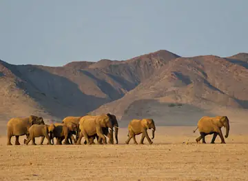 7 Days Namibia Highlights Tour