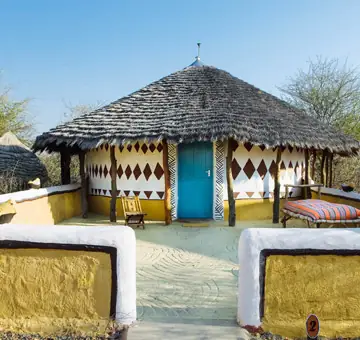 Planet Baobab Lodge
