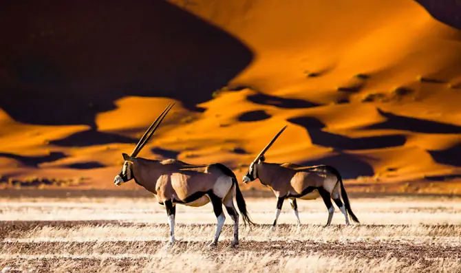 Namibia